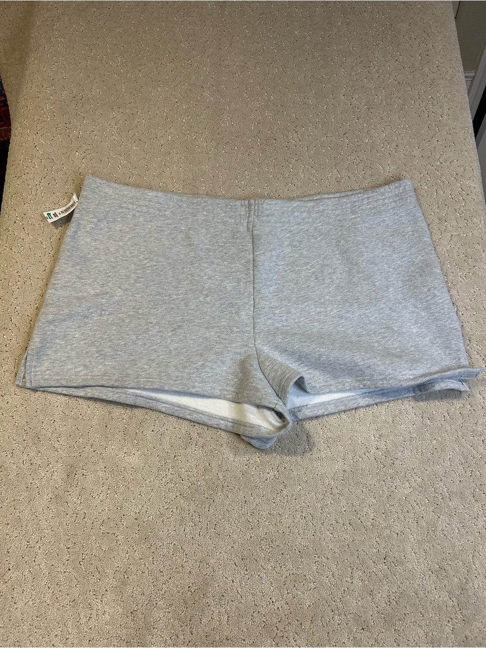 NWT Aritzia Tna Sweatfleece Perfect Micro Fit Shorts Grey Size 2XL